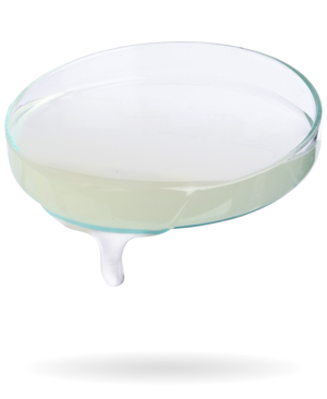 Gear Synt Aceite Reductores